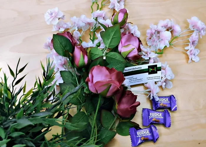 Panzió Helvetia - Private And